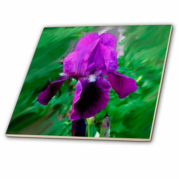 12-Inch 3dRose ct_4124_4 Purple Iris Ceramic Tile 